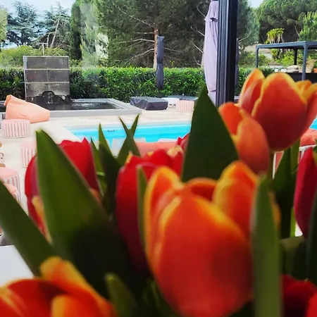 Penzion La Monarque (adults Only) Agde